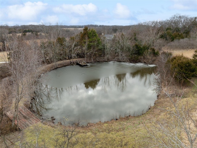 view of water feature