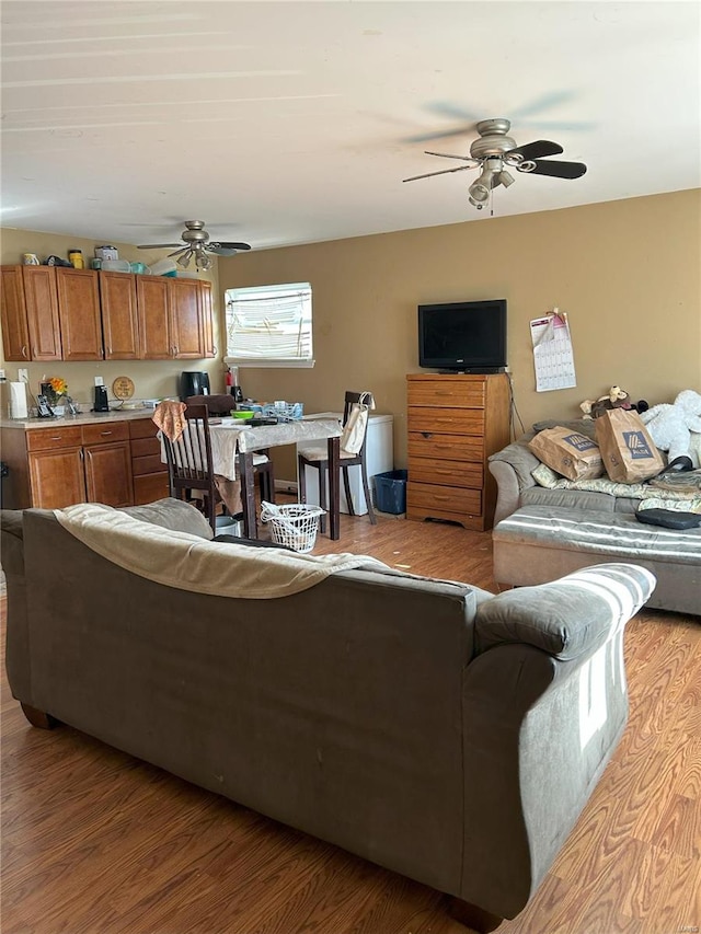 living room featuring ceiling fan and light wood-type flooring