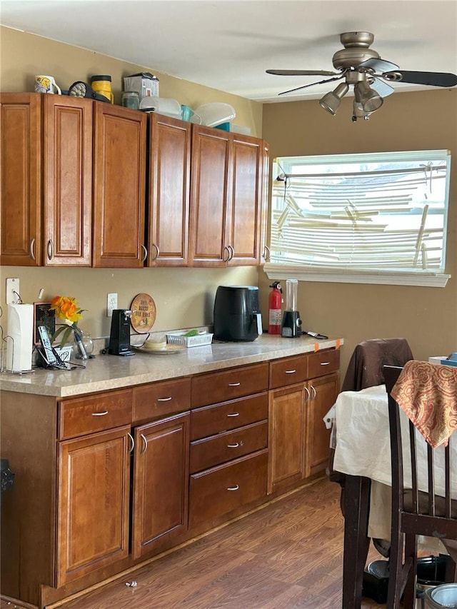 kitchen with ceiling fan and dark hardwood / wood-style flooring