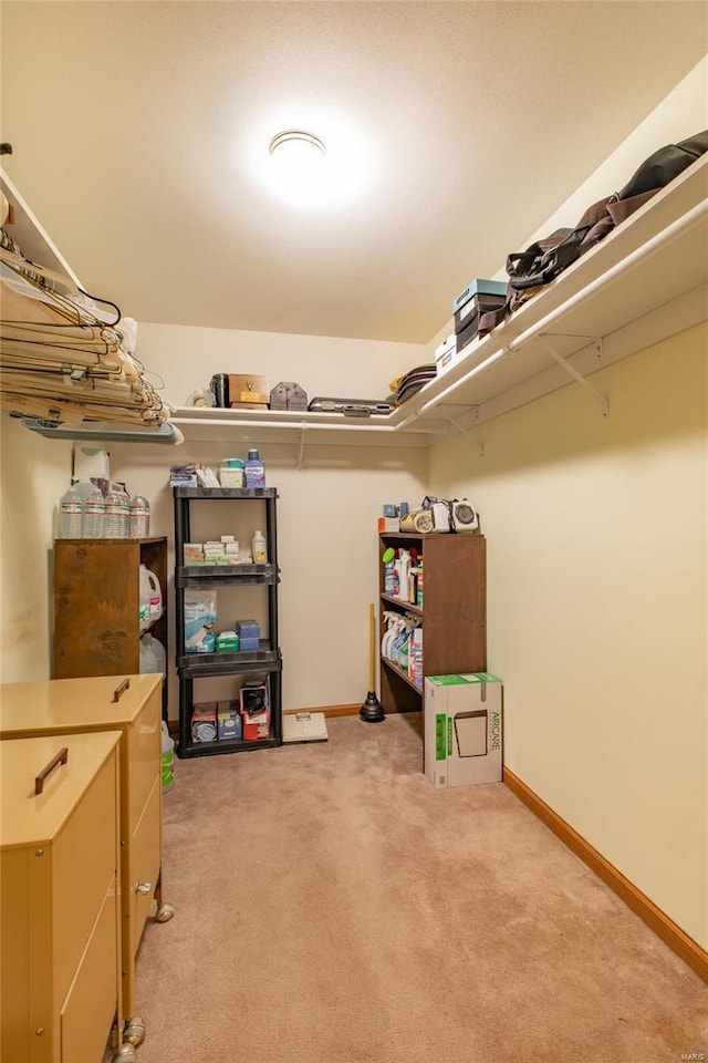 spacious closet with carpet