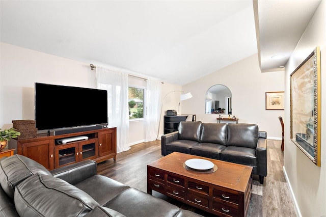 living room with hardwood / wood-style flooring and vaulted ceiling