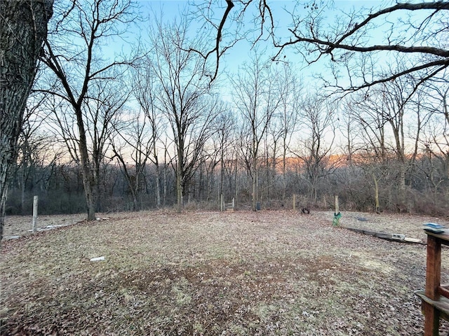 view of yard at dusk