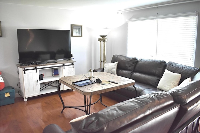 living room with dark hardwood / wood-style floors