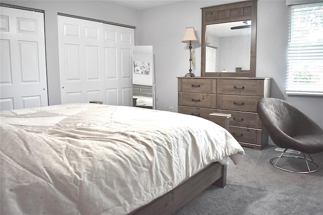 bedroom featuring multiple windows, carpet, and two closets