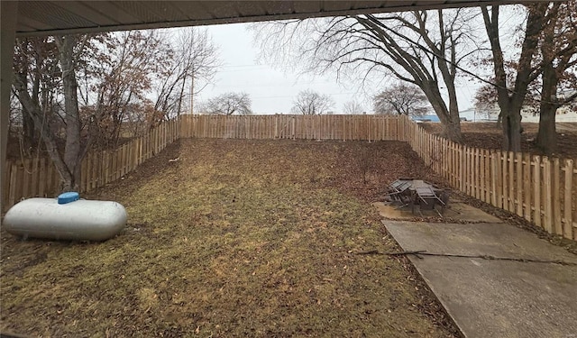 view of yard featuring a patio