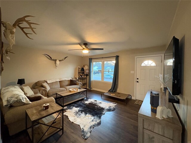 living room with ceiling fan and dark hardwood / wood-style floors