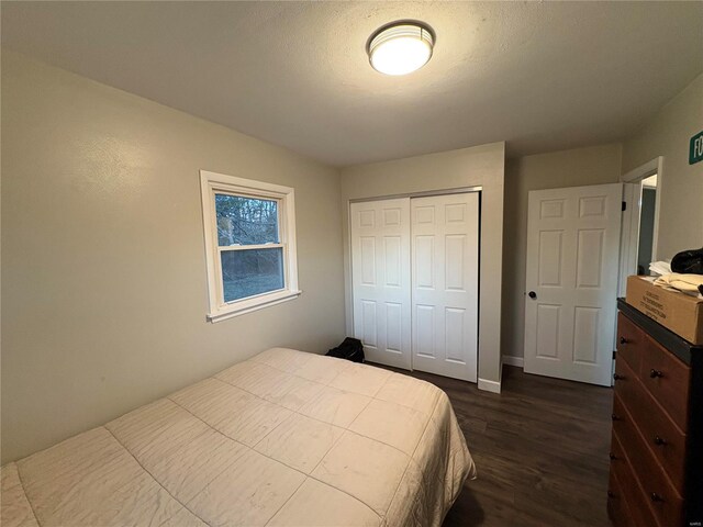 bedroom with dark hardwood / wood-style floors and a closet