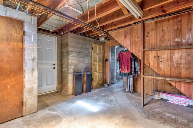 basement with wooden walls