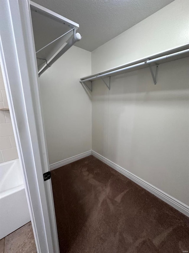 spacious closet featuring carpet flooring