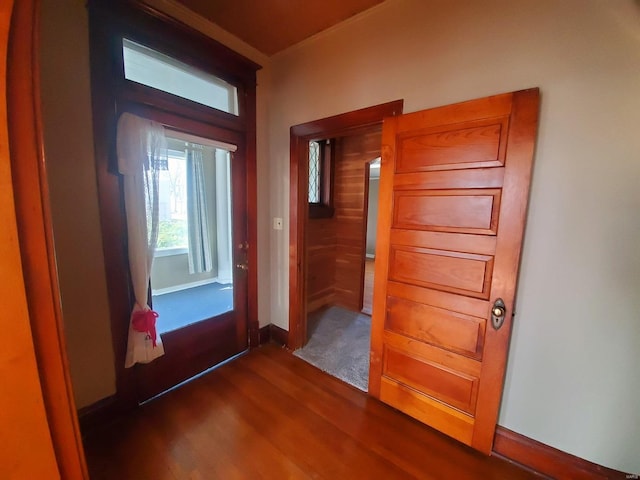 doorway featuring dark wood-type flooring