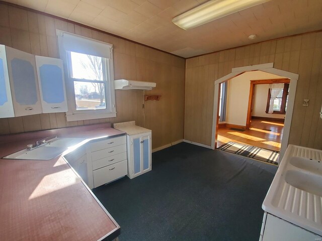 kitchen with sink, white cabinets, and wooden walls