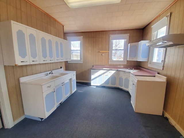 kitchen with white cabinetry, sink, and plenty of natural light