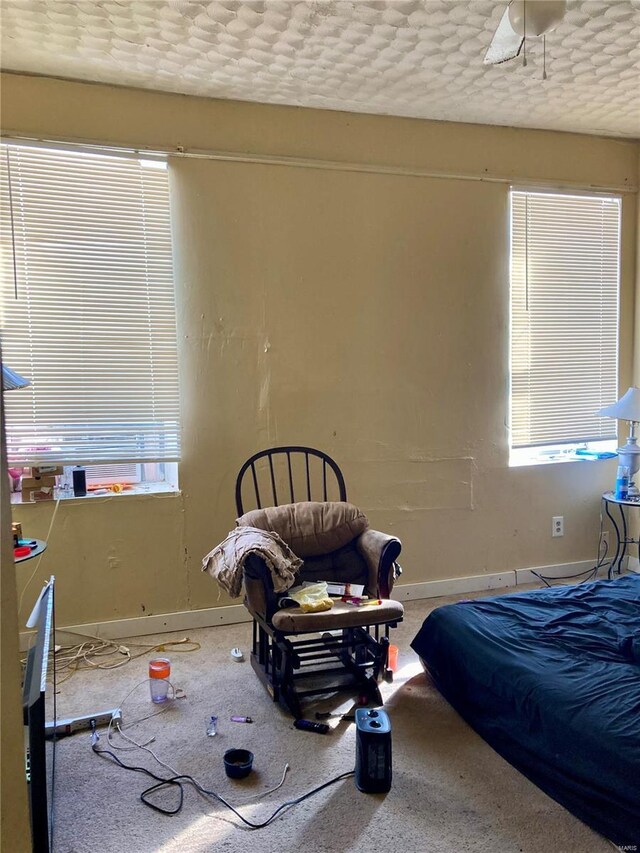 bedroom featuring a textured ceiling