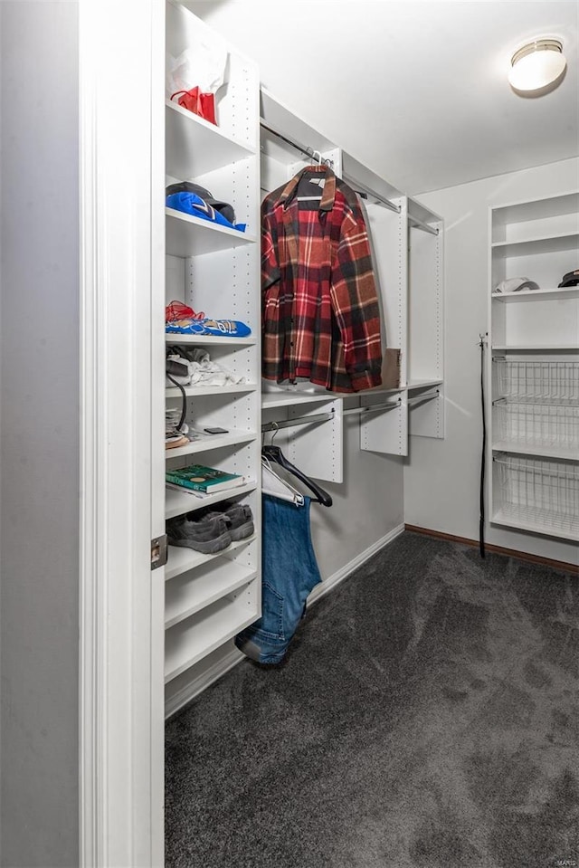 spacious closet featuring dark carpet