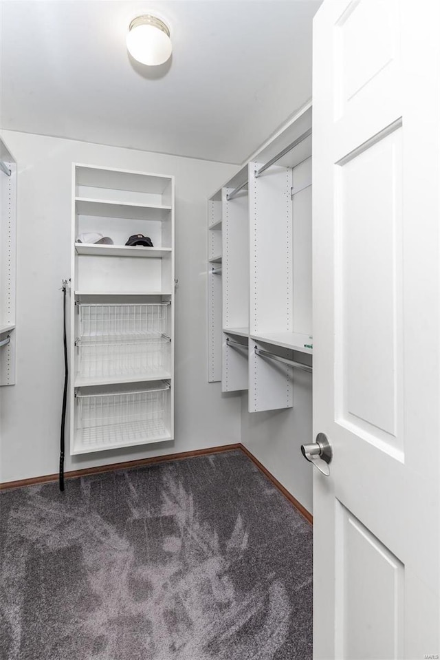 spacious closet with dark colored carpet