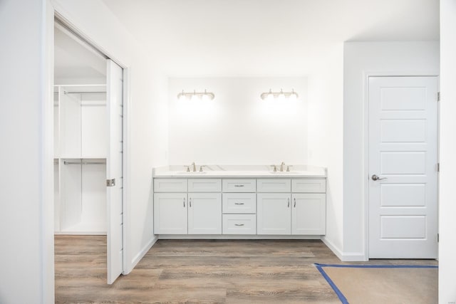 bathroom with hardwood / wood-style flooring and vanity