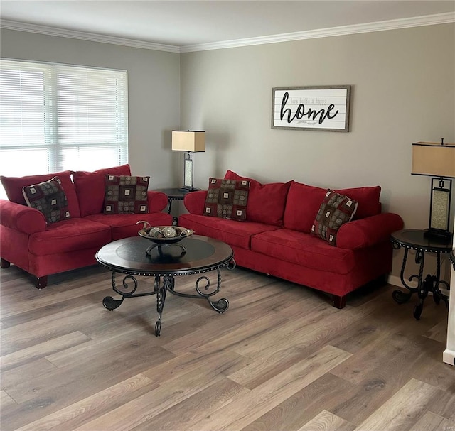 living room featuring ornamental molding and wood-type flooring