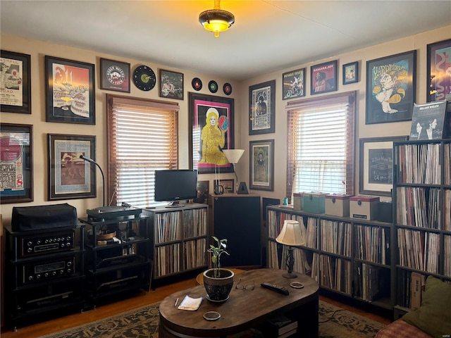 home office featuring wood finished floors