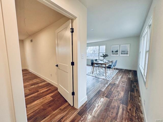 hallway featuring dark wood-type flooring