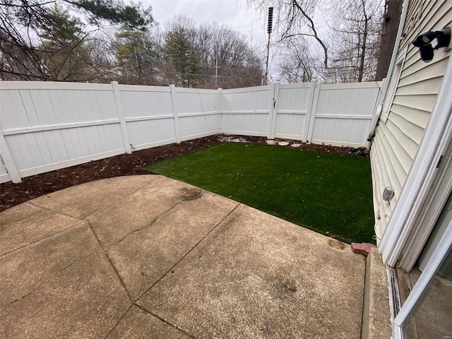 view of yard featuring a patio area