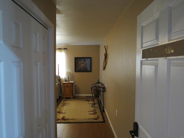 hallway with wood-type flooring