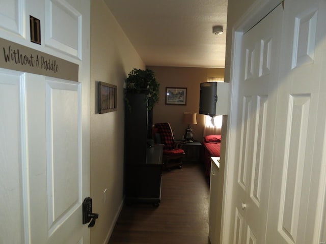 hallway featuring dark wood-type flooring