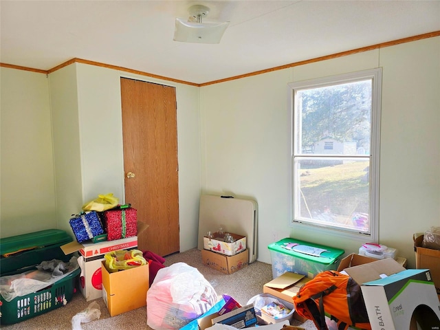 recreation room with crown molding and carpet