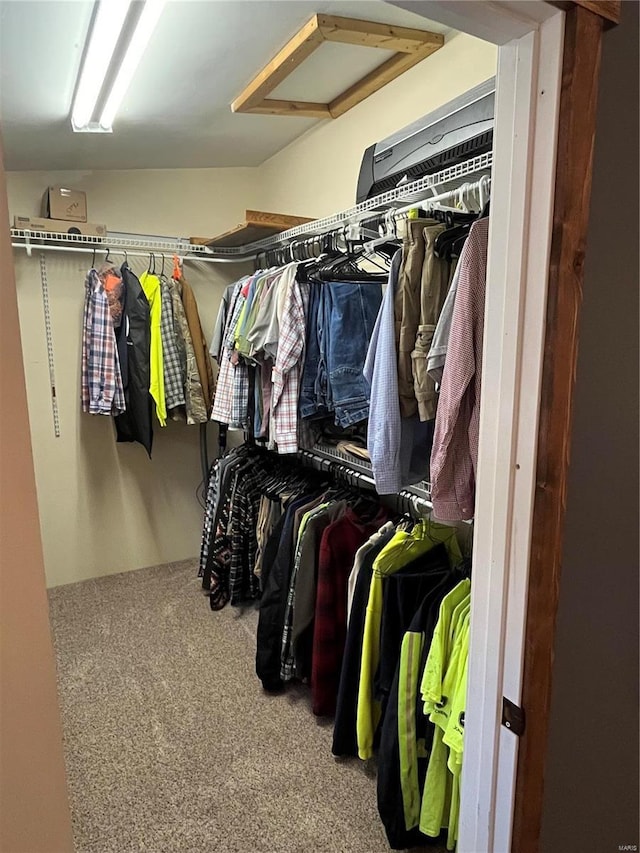 walk in closet featuring carpet flooring