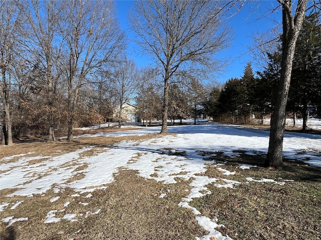 view of snowy yard