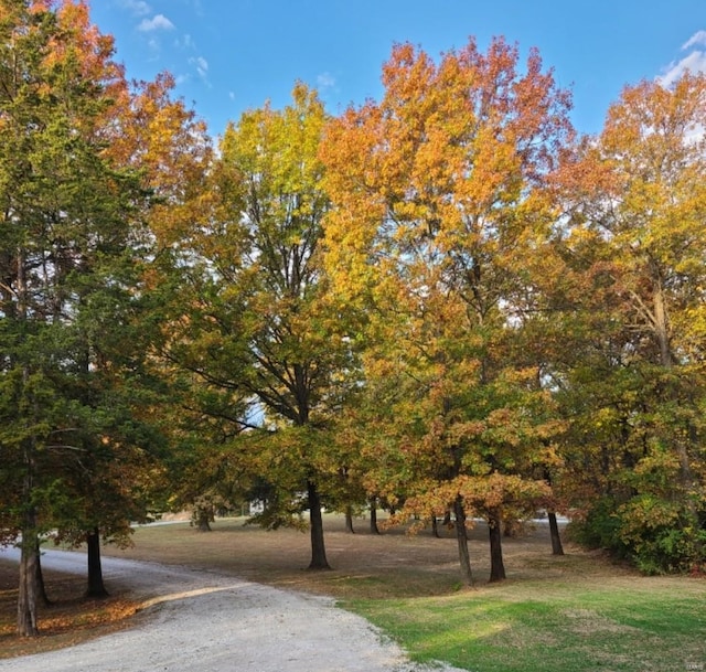 view of surrounding community