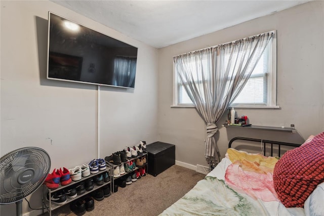 bedroom featuring carpet