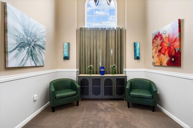 sitting room with carpet flooring