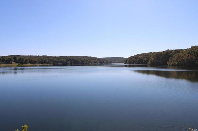 water view featuring a view of trees