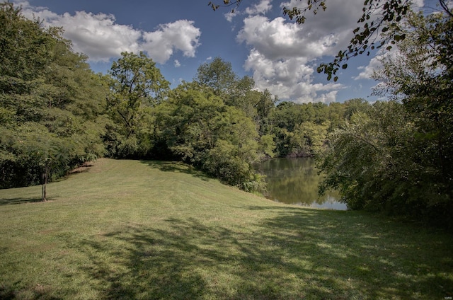 view of yard with a water view