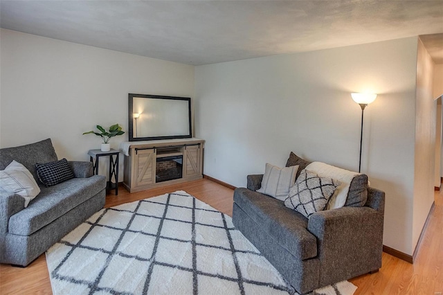 living room with hardwood / wood-style flooring