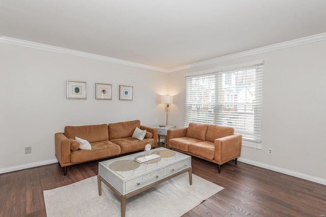 living room with crown molding and dark wood-type flooring