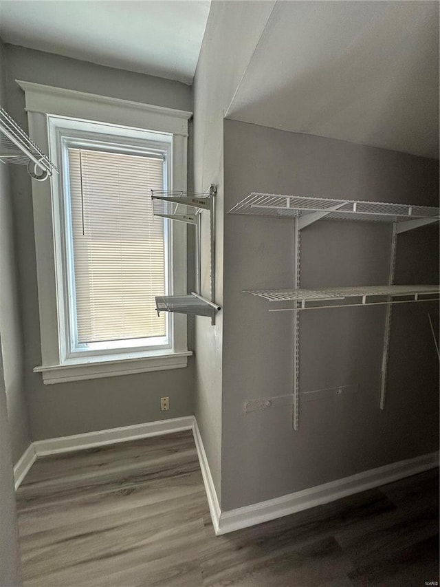 walk in closet with hardwood / wood-style flooring