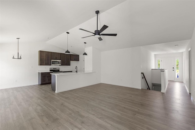 kitchen featuring sink, appliances with stainless steel finishes, dark brown cabinetry, ceiling fan with notable chandelier, and light wood-type flooring