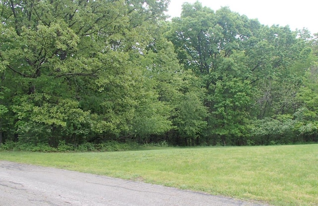 Listing photo 3 for 38 Bassett Woods Dr, Pacific MO 63069