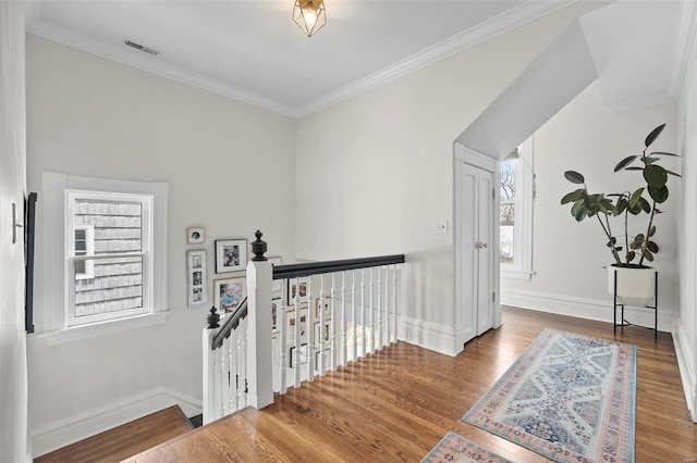 corridor with hardwood / wood-style floors and crown molding