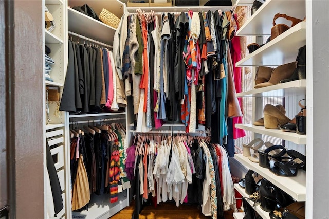 view of walk in closet