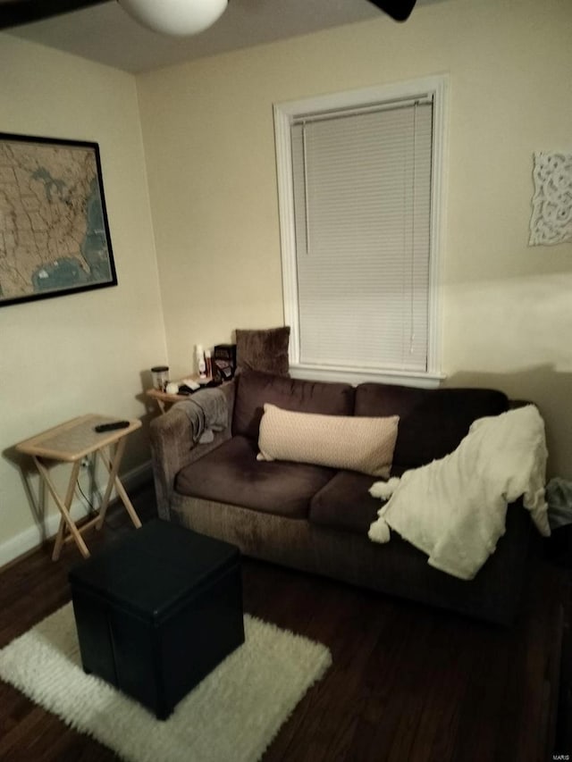 living room featuring dark wood-type flooring