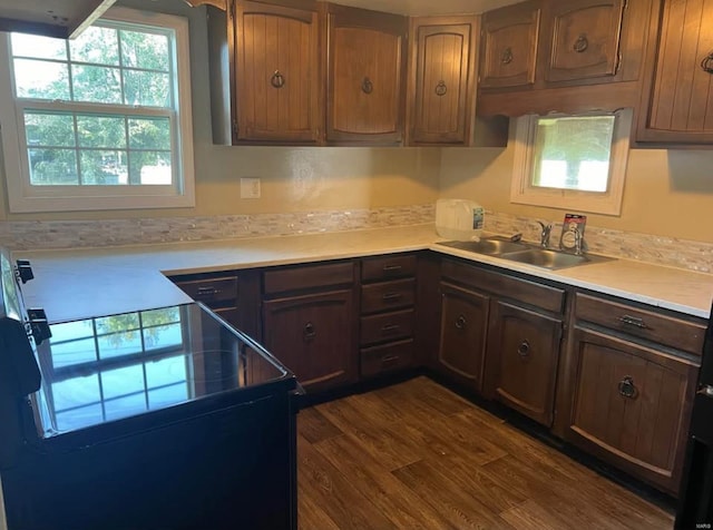 kitchen featuring range with electric stovetop, dark hardwood / wood-style floors, and sink