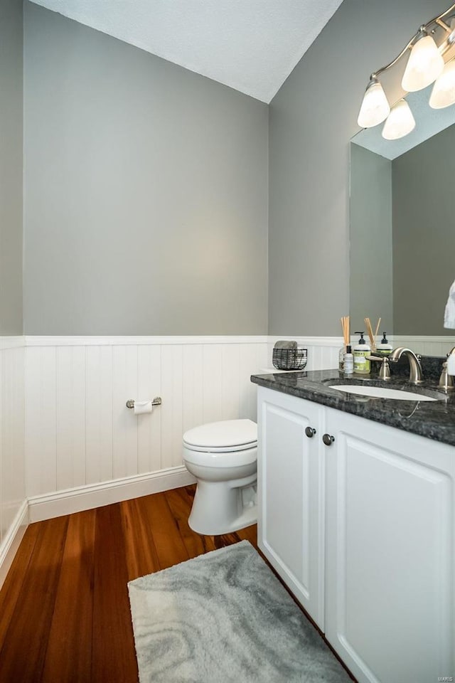 bathroom featuring vanity, toilet, and wood-type flooring