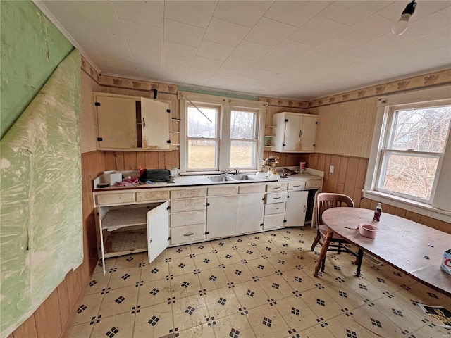 kitchen featuring sink, wooden walls, and a healthy amount of sunlight