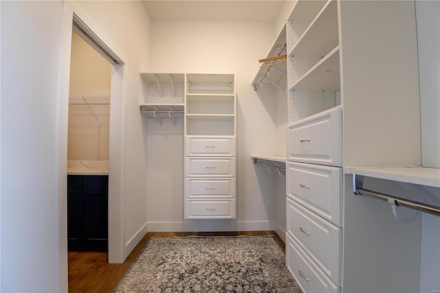 spacious closet featuring dark hardwood / wood-style floors