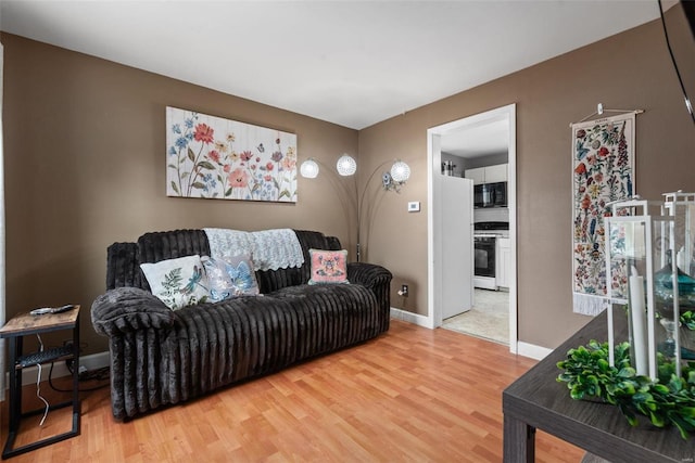 living room with wood-type flooring