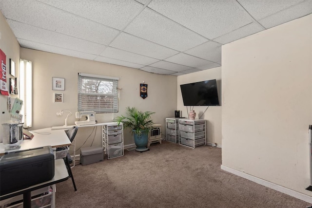 carpeted office with a drop ceiling