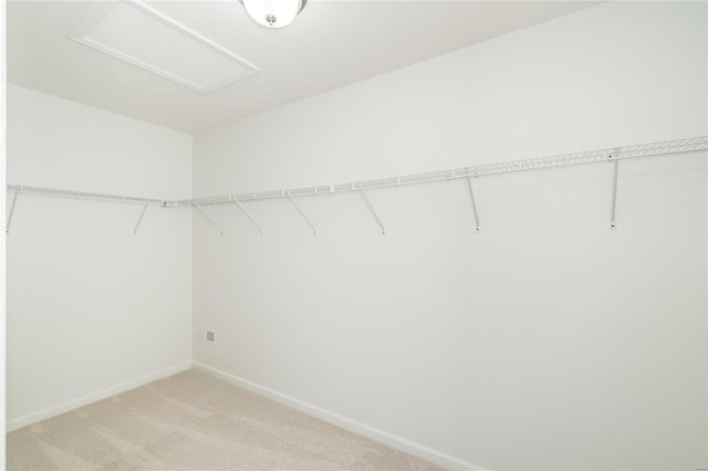 spacious closet featuring attic access and light colored carpet