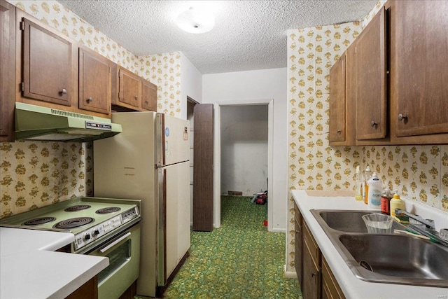 kitchen with under cabinet range hood, a sink, electric stove, and wallpapered walls